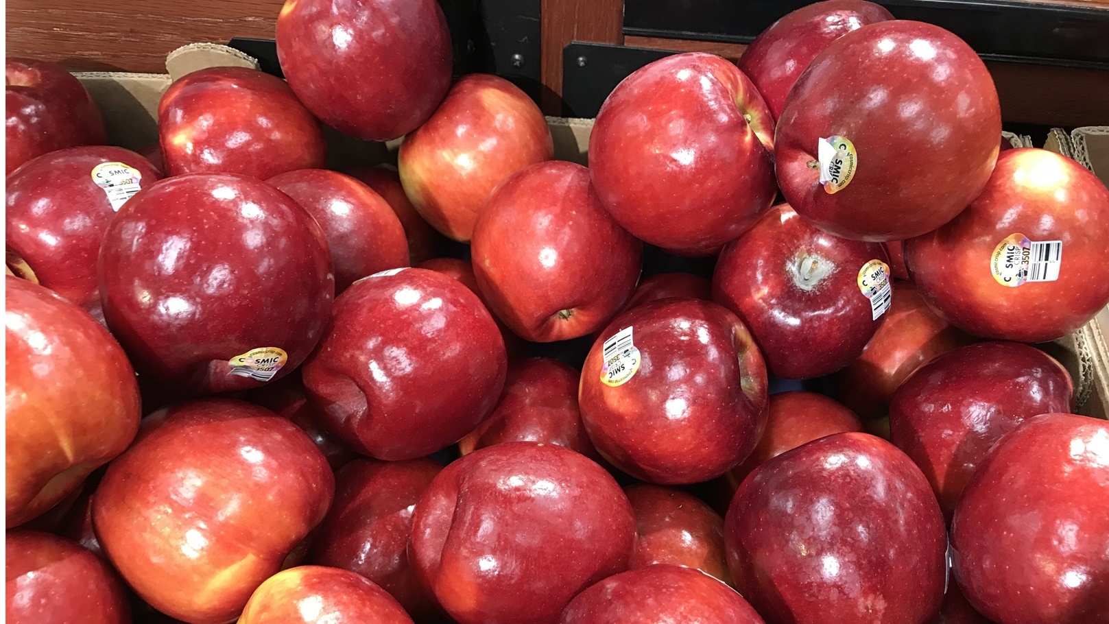 9eca4498150e28cbc3df21bc16f8702a0b685ec5