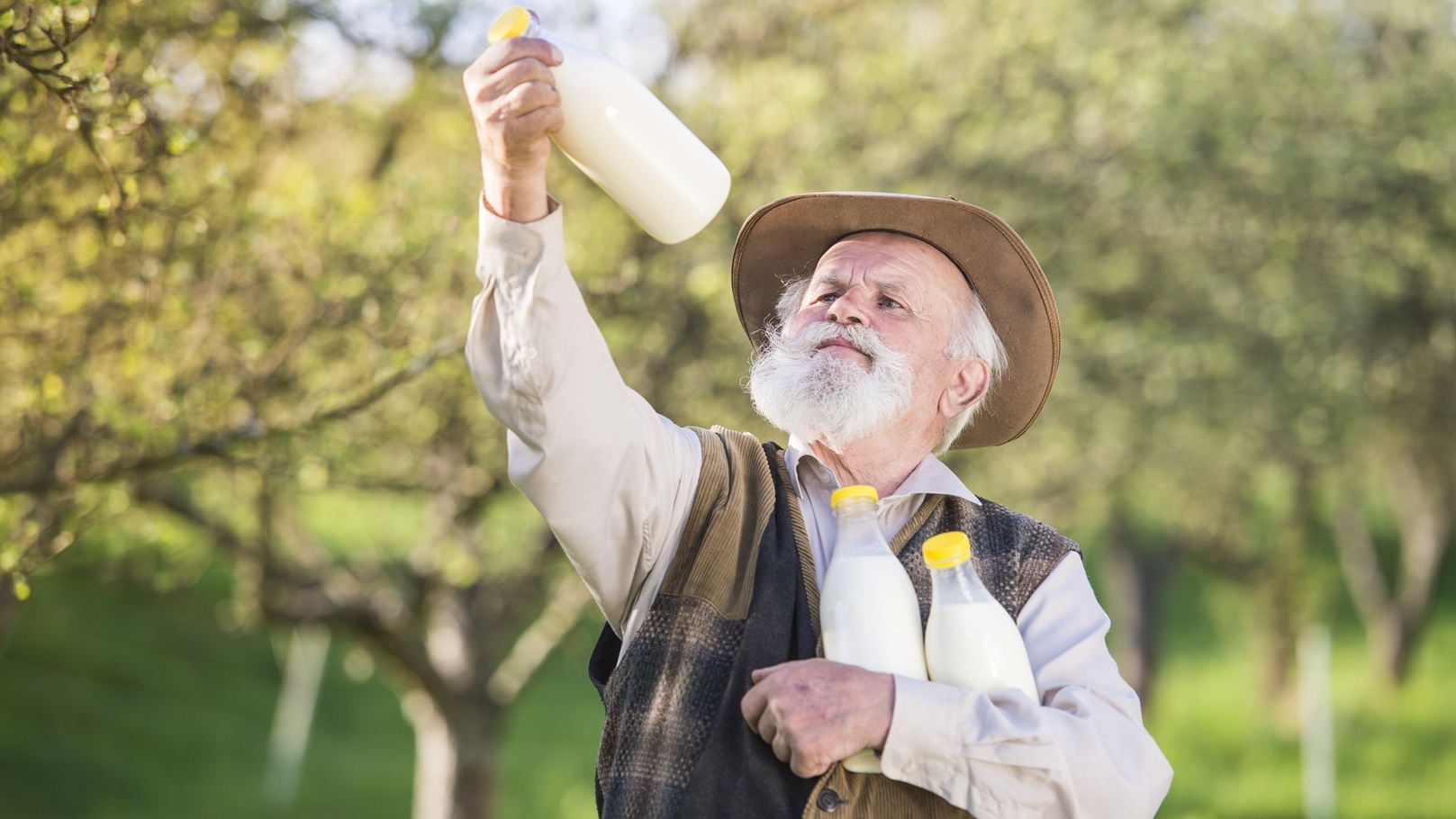 حليب غير مبستر