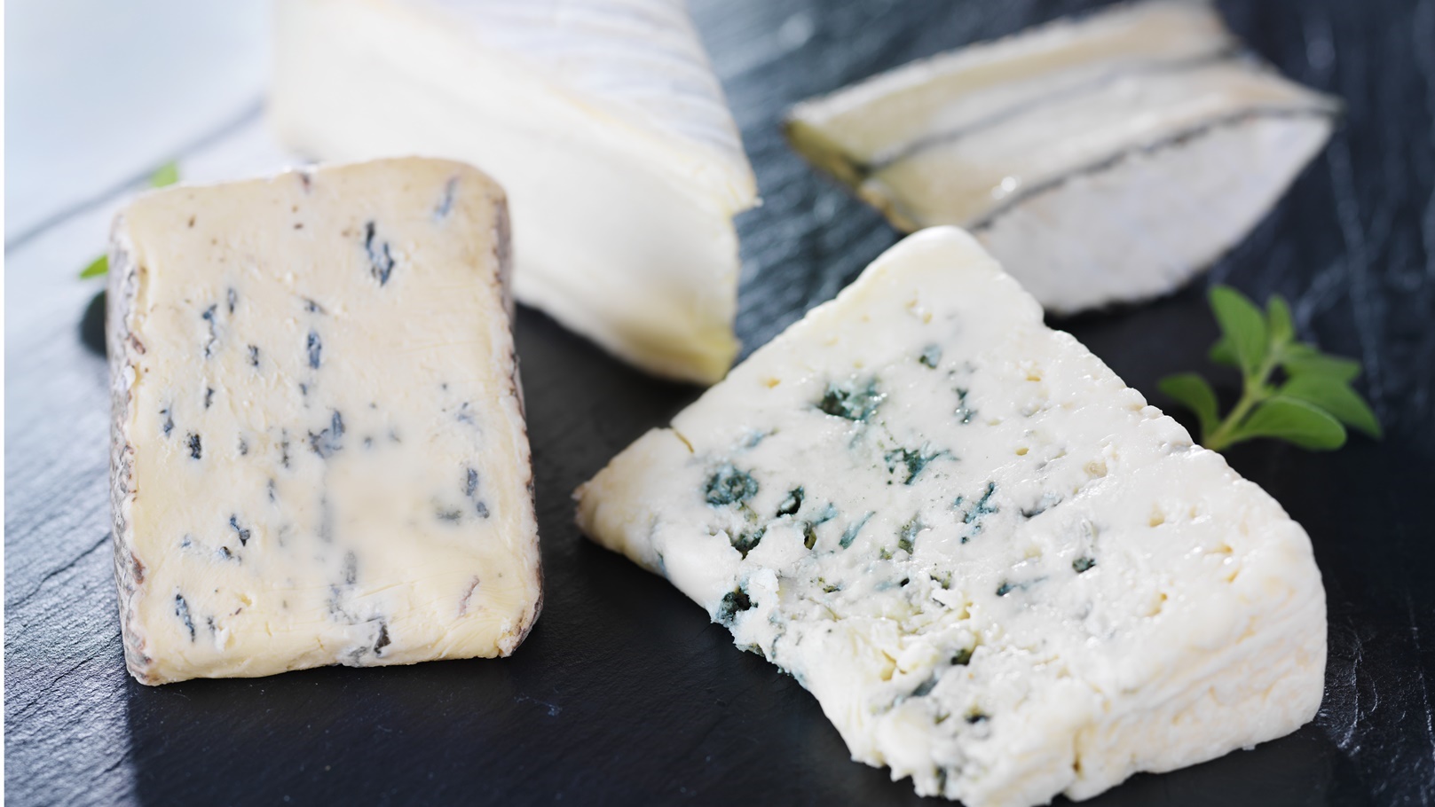 assortment-of-artisanal-cheeses-on-slate-cheese-tr-2022-03-26-12-07-56-utc