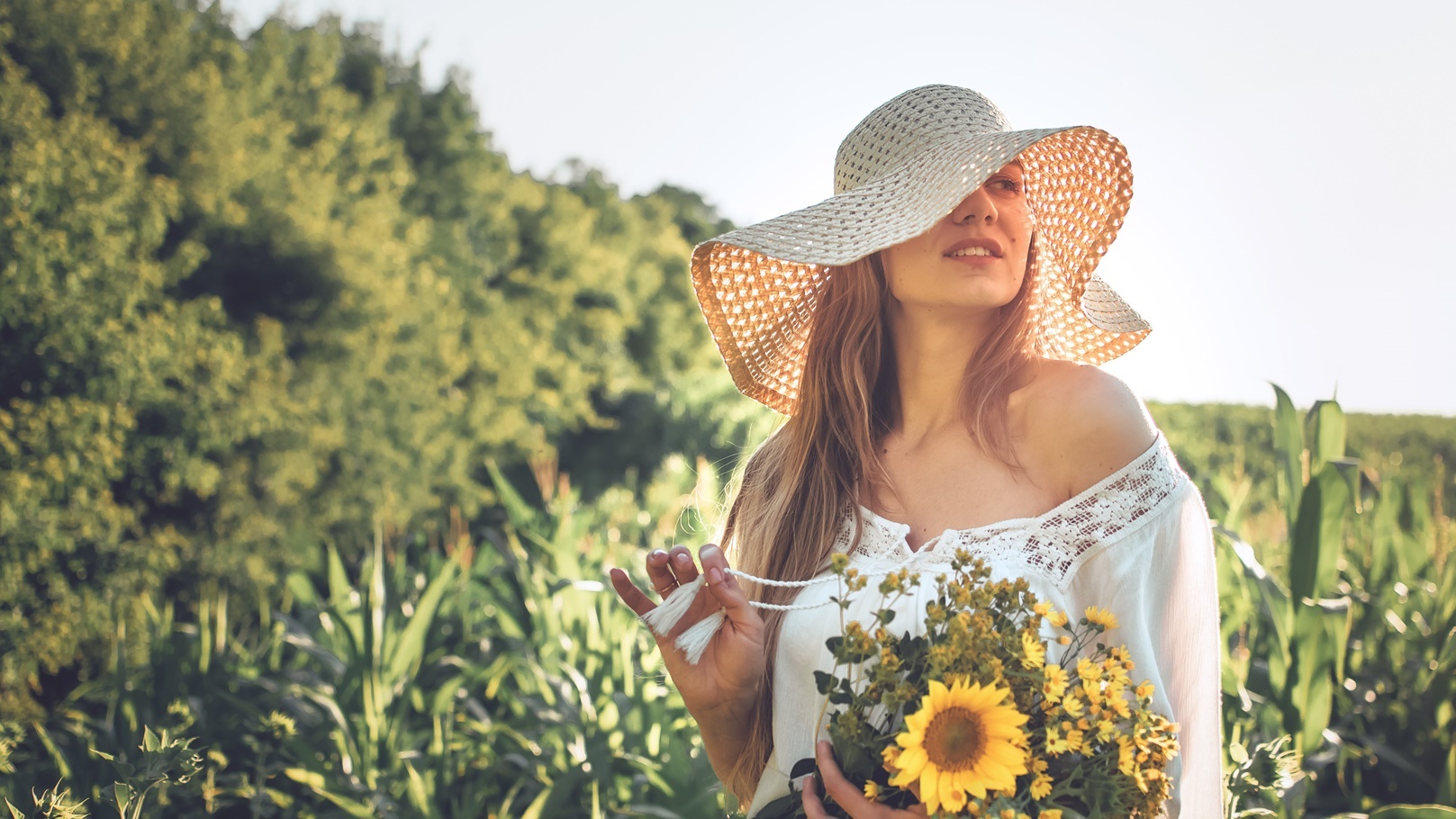how-to-harvest-and-dry-herbs-traditional-medicina-2021-08-30-12-05-10-utc