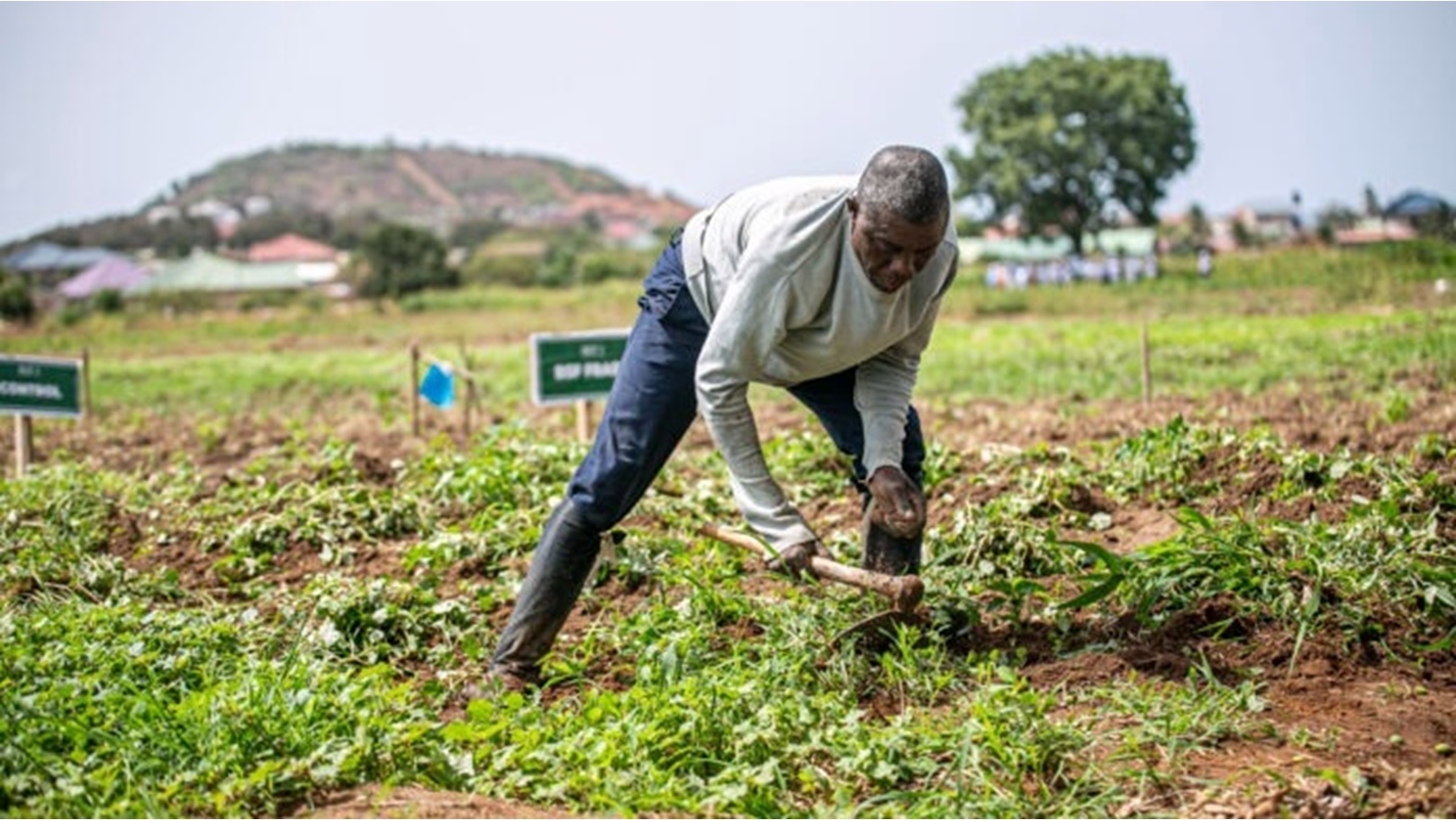 82e9596d-64a0-4783-9e4d-c211ea166da4