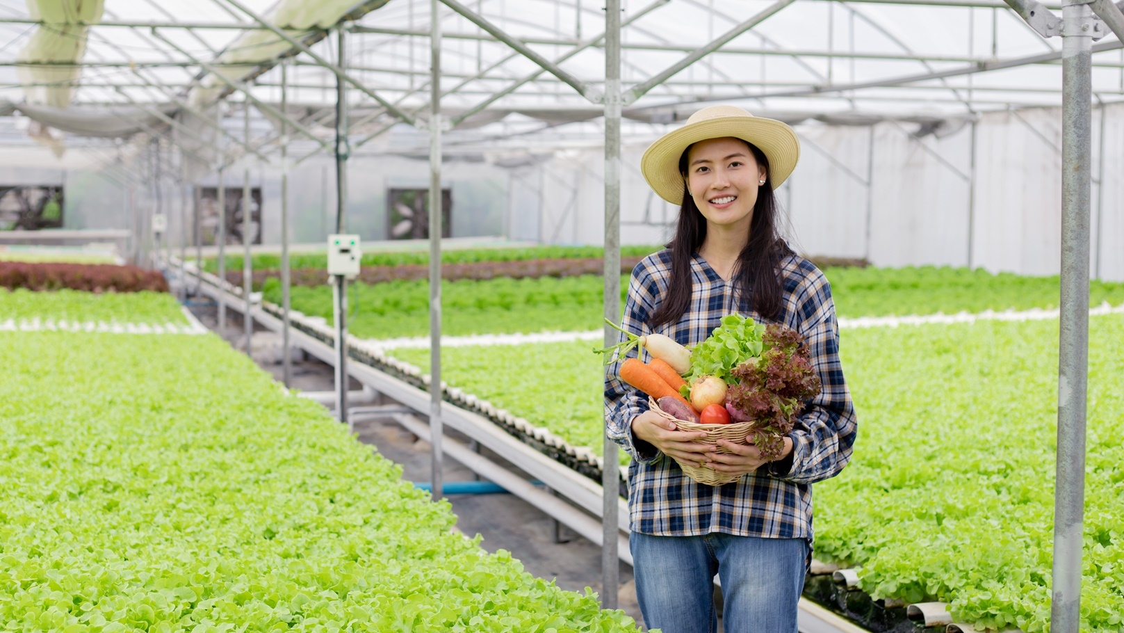 asian-woman-farmer-holding-a-basket-of-vegetables-2021-09-02-14-56-26-utc