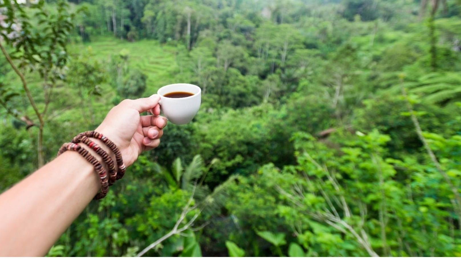 قهوة بالكولاجين