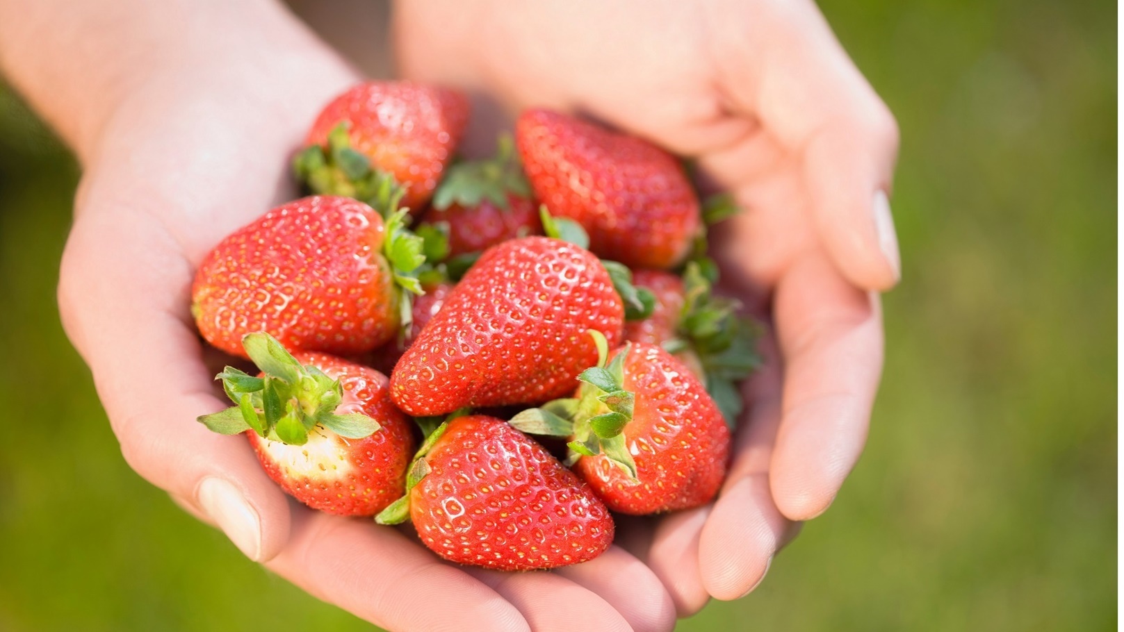 strawberries-2022-03-04-01-53-06-utc