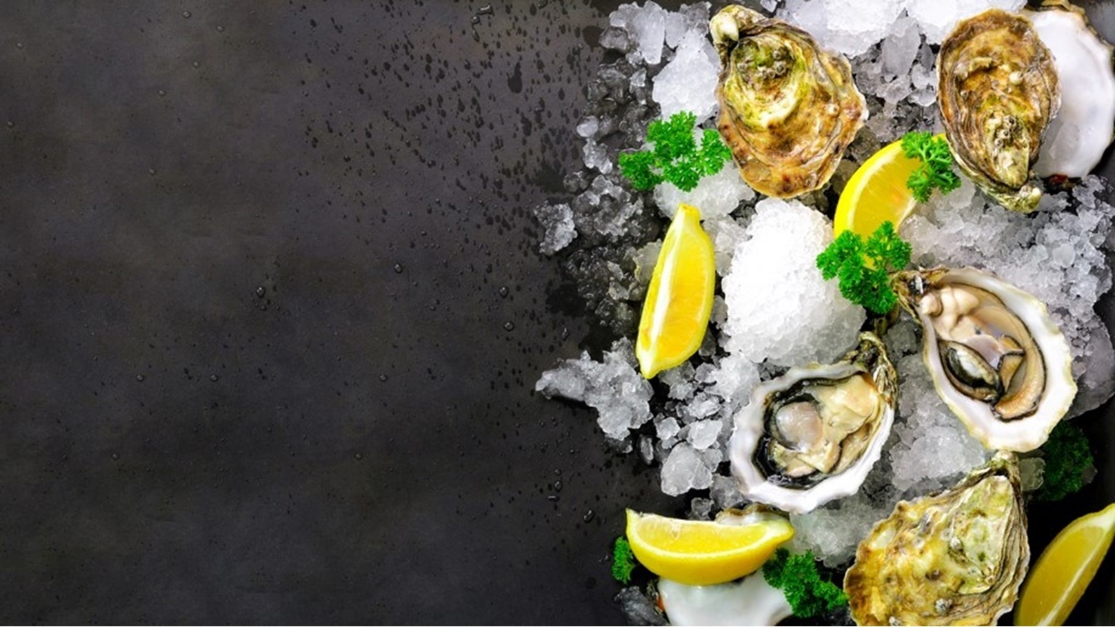 البكلويز مزاج "الأكيلة" في بورسعيد