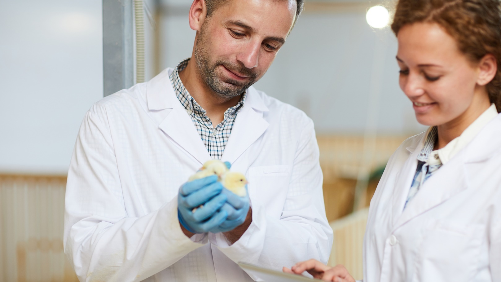 engineers-of-poultry-farm-2021-09-24-02-55-07-utc