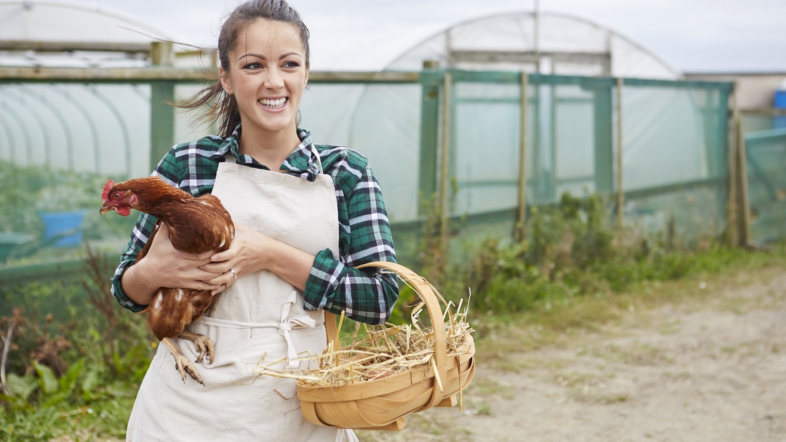 woman-on-chicken-farm-holding-chicken-2022-03-04-01-45-07-utc