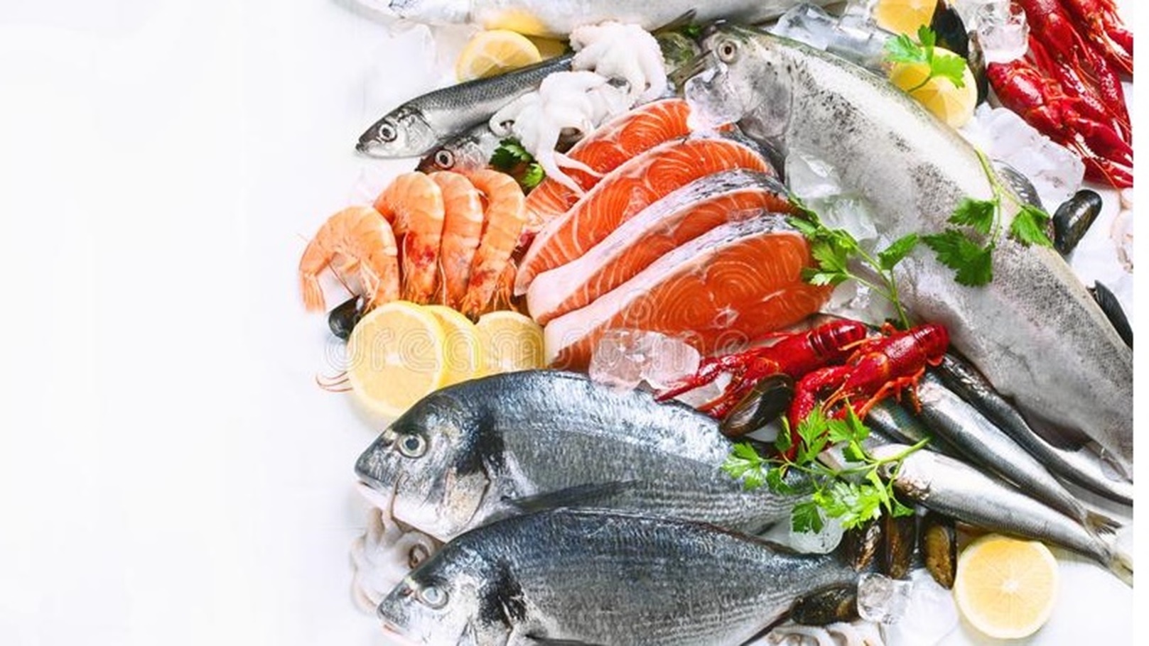 fresh-fish-seafood-fresh-fish-seafood-healthy-eating-concept-flat-lay-copy-space-148105433