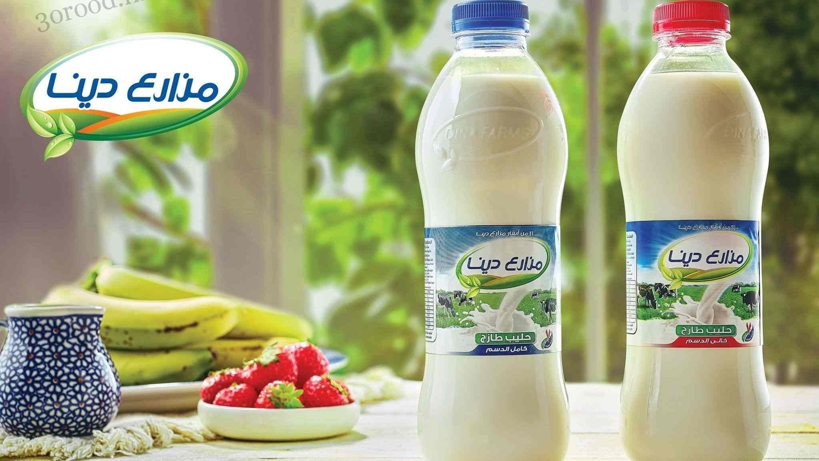 منتجات مزارع دينا