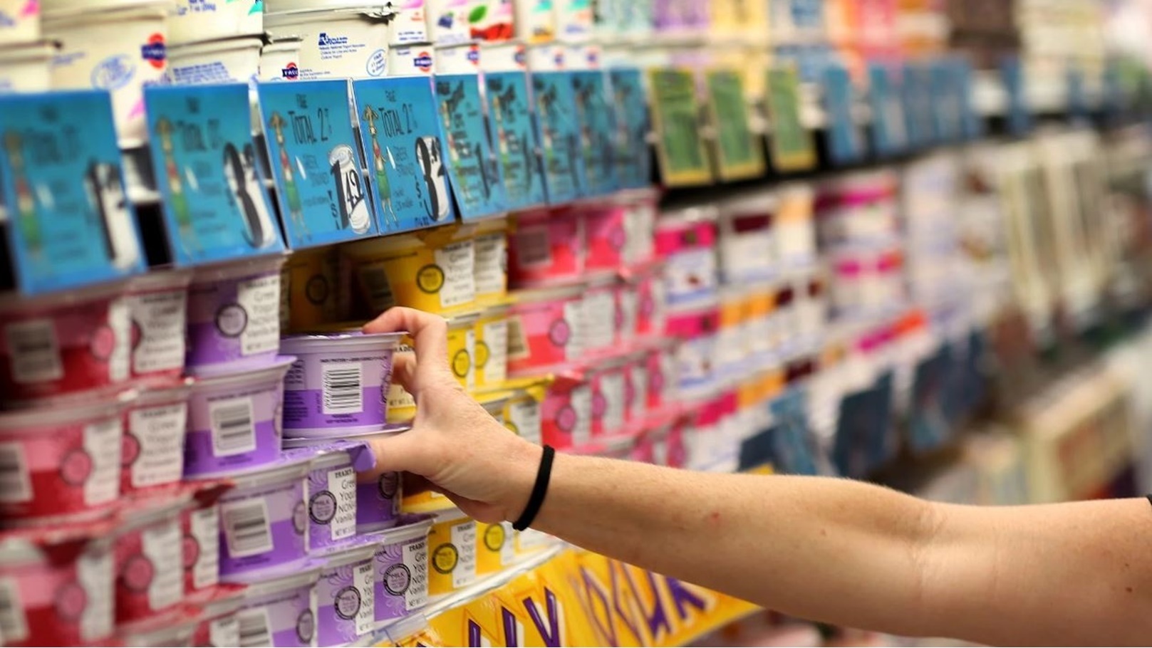 الزبادي في السلاسل التجارية