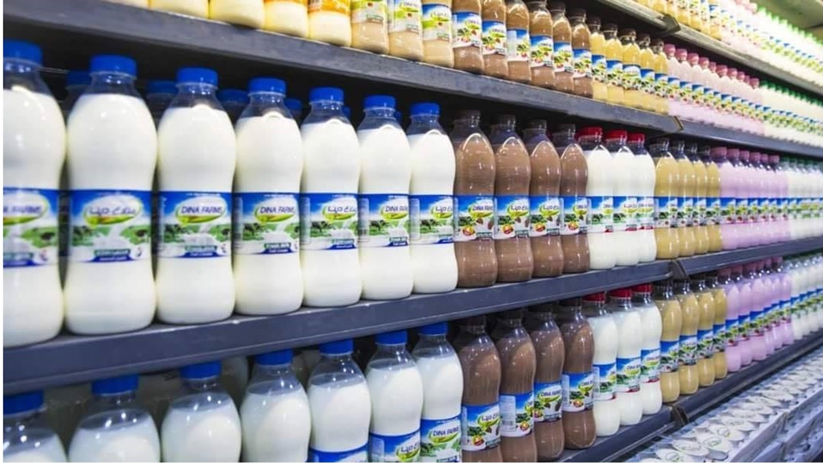 منتجات الألبان- مزارع دينا