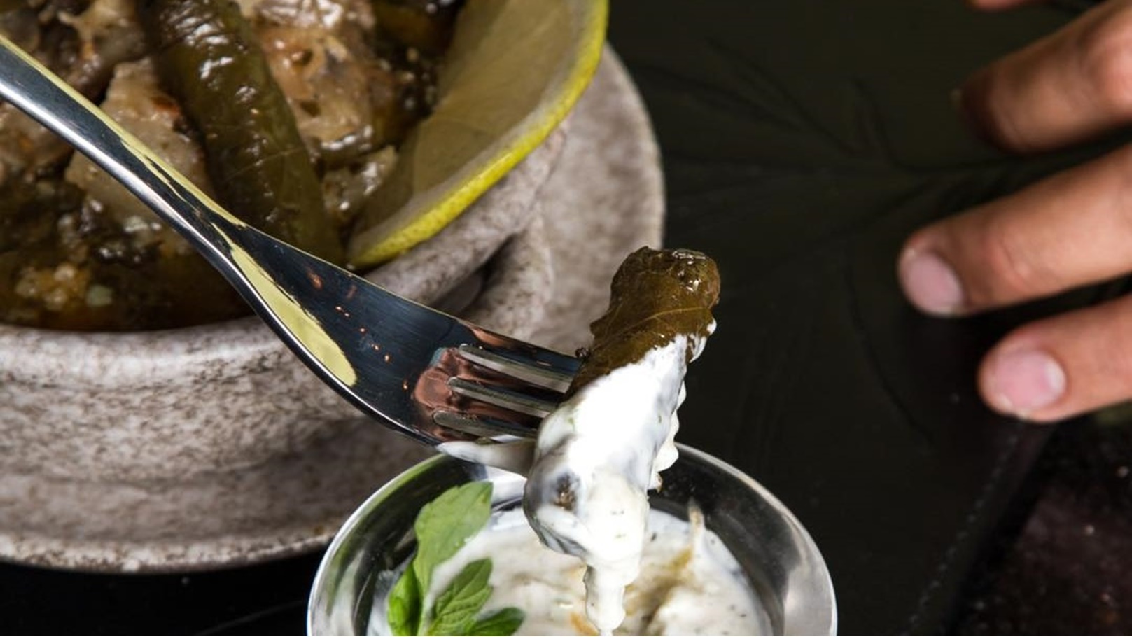 147852974_605308030376236_4417749817102122527_n