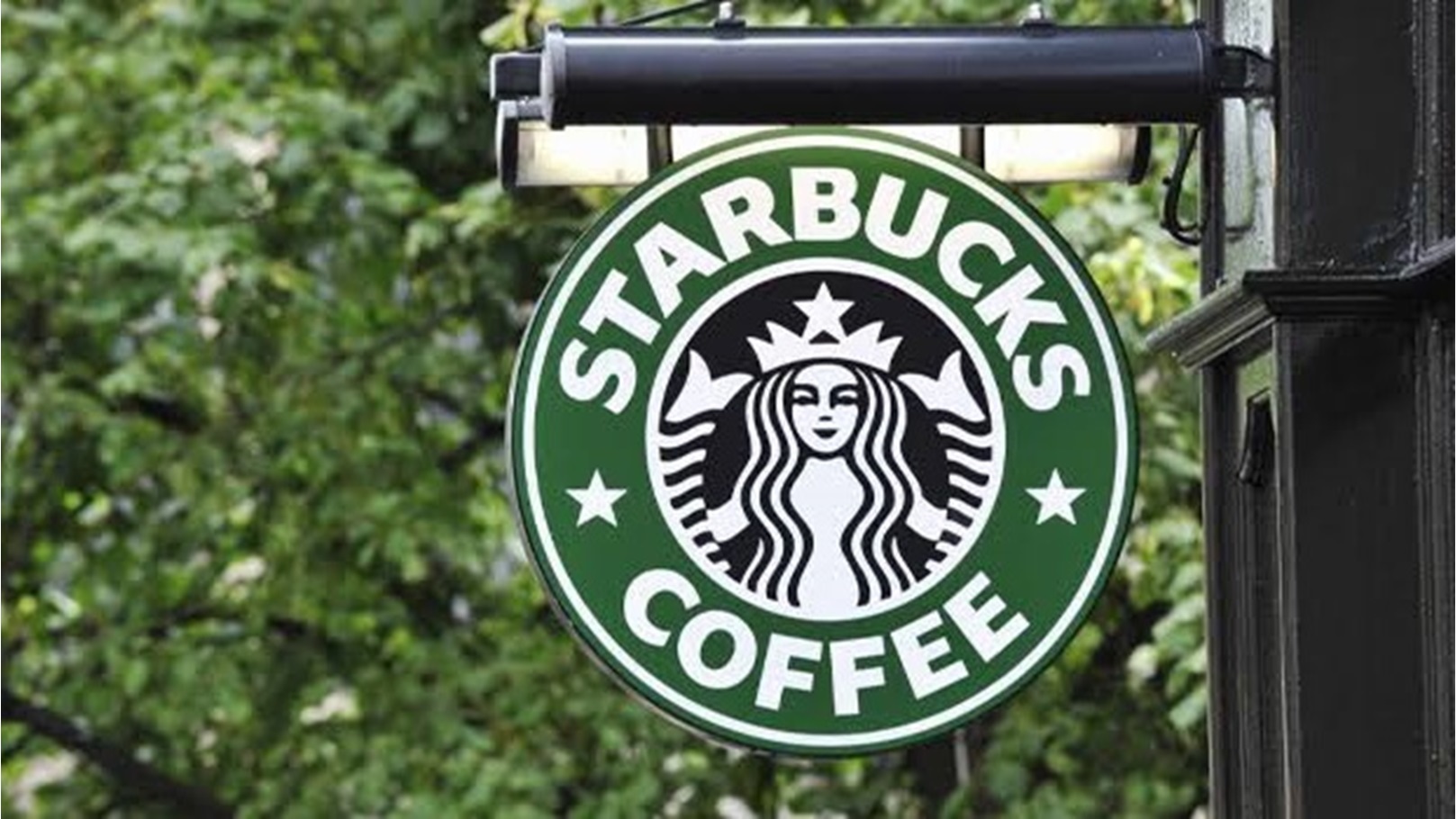 213248B3-FBB1-422C-9895-27C471CD510D