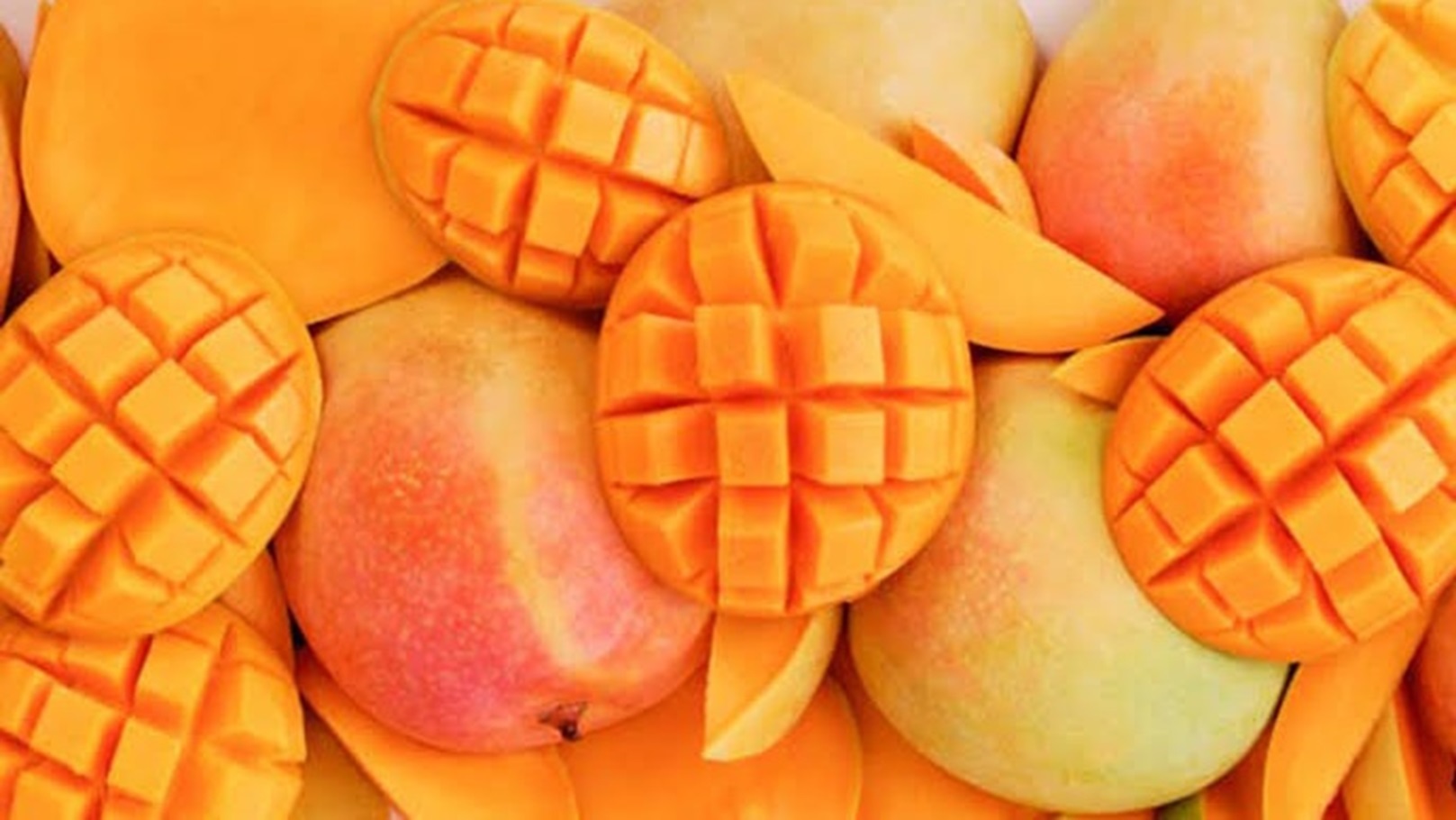 51911090-CA5D-4C31-859A-AE4E7CE01CC0