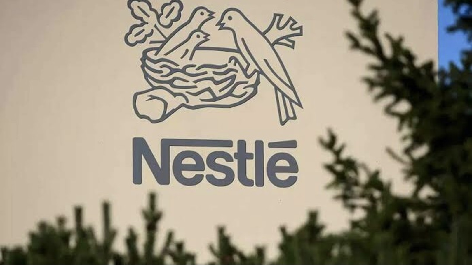 9BDD22B3-F6B9-45B6-A0DB-660E9154DDAB