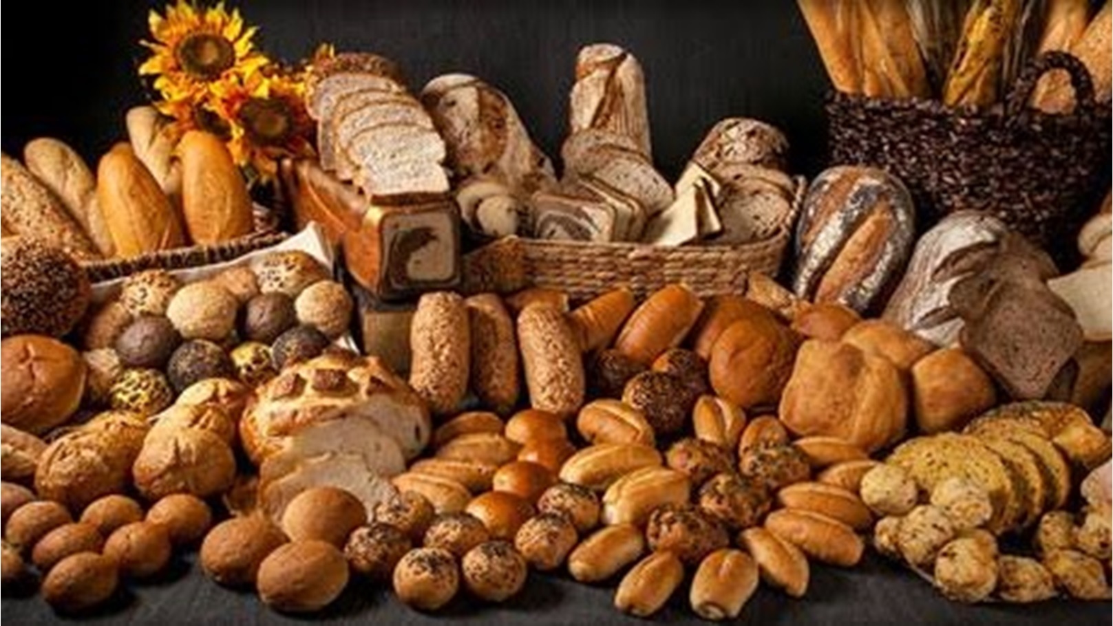 B8AA839C-6A74-41E2-966E-DFC3F16B6C7A