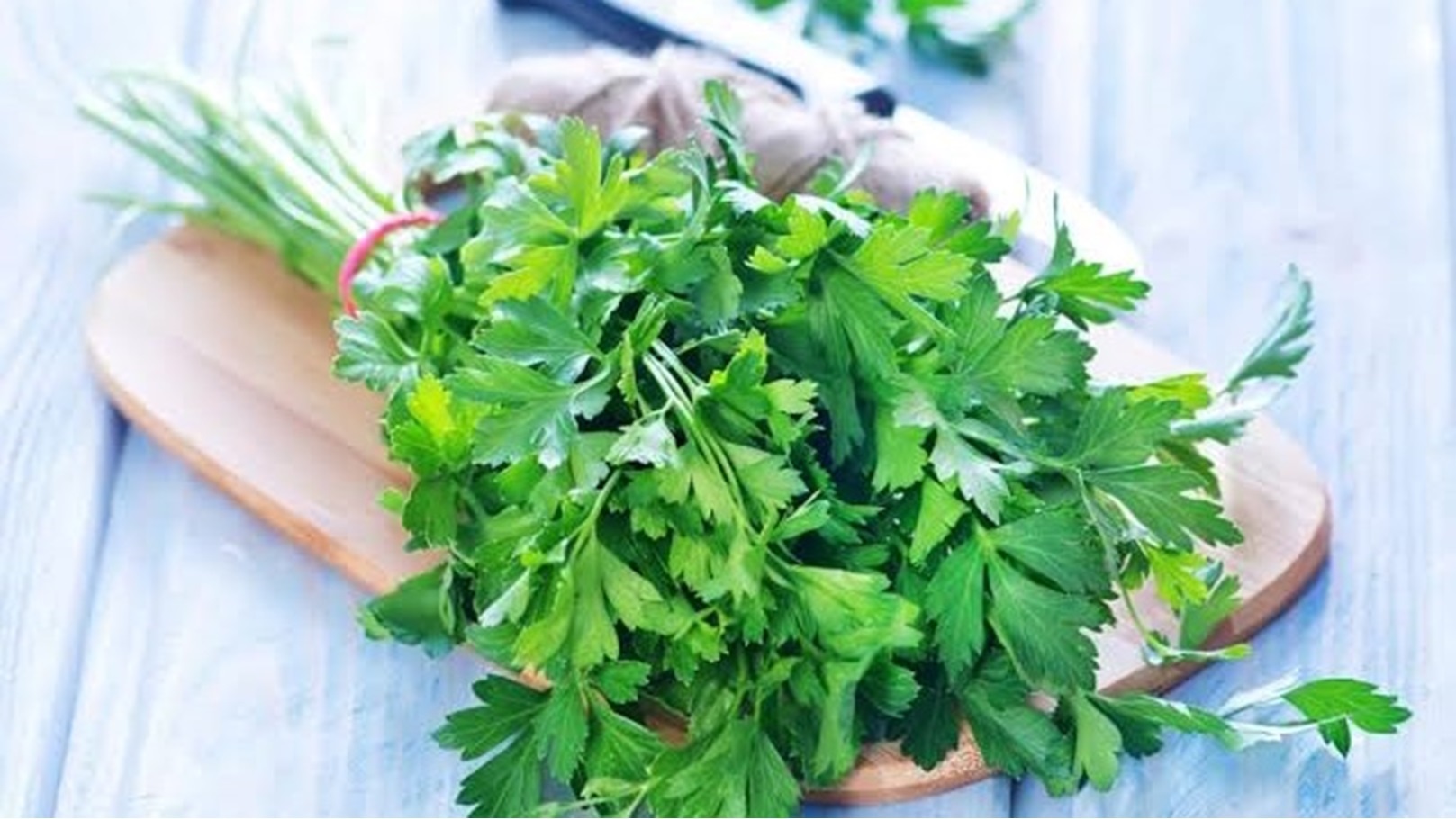 1AF85D6C-C536-4440-88A9-D5CA428A035C