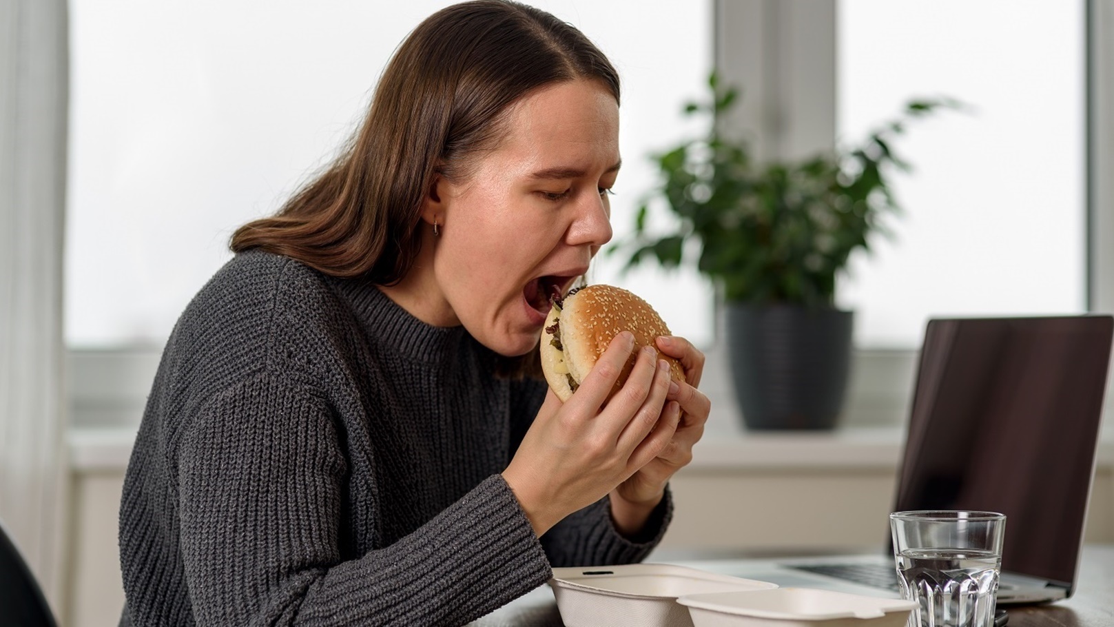 الوجبات السريعة