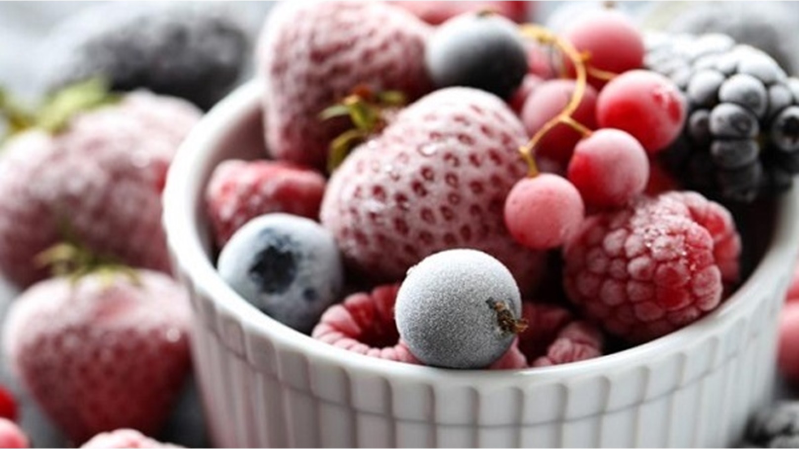 الفواكهة المجمد