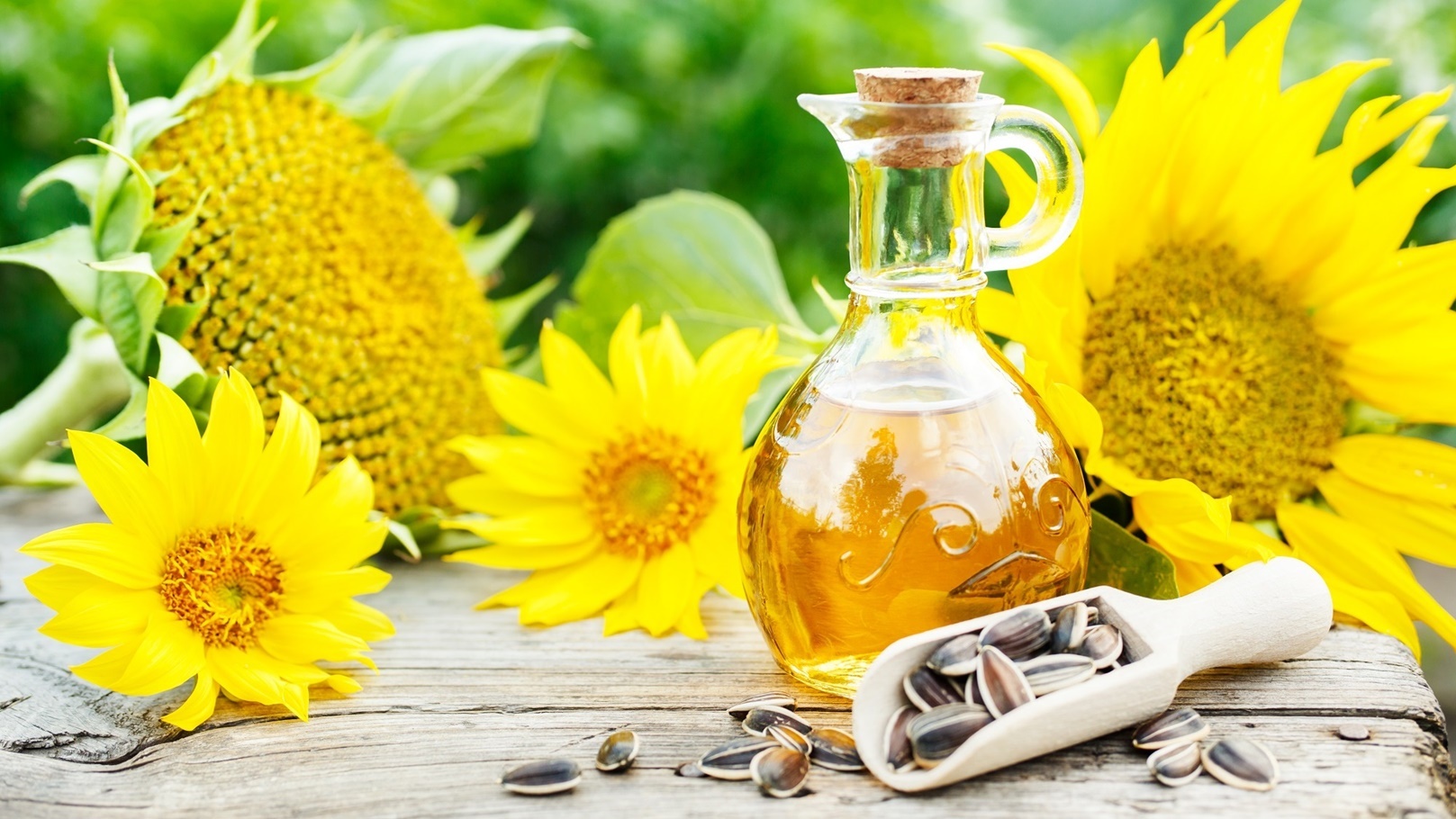 sunflower-oil-with-seeds-زيت عباد الشمس