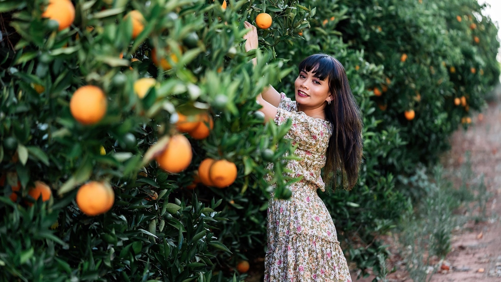 oranges-farm-2021-08-31-05-17-38-utc