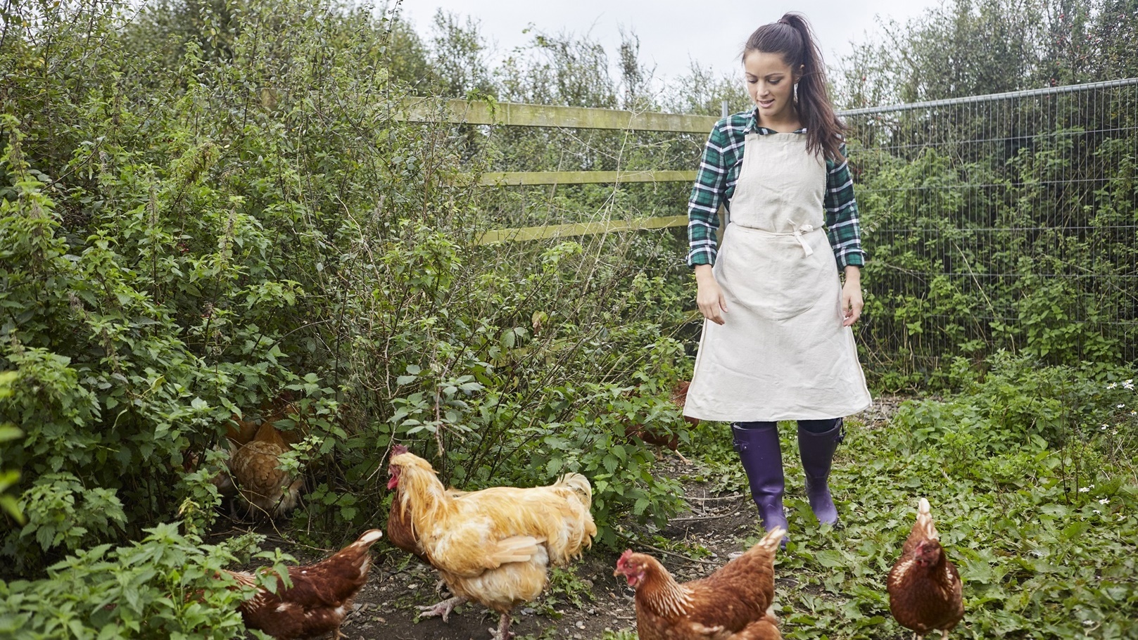 woman-wearing-apron-on-chicken-farm-2022-03-04-01-50-17-utc