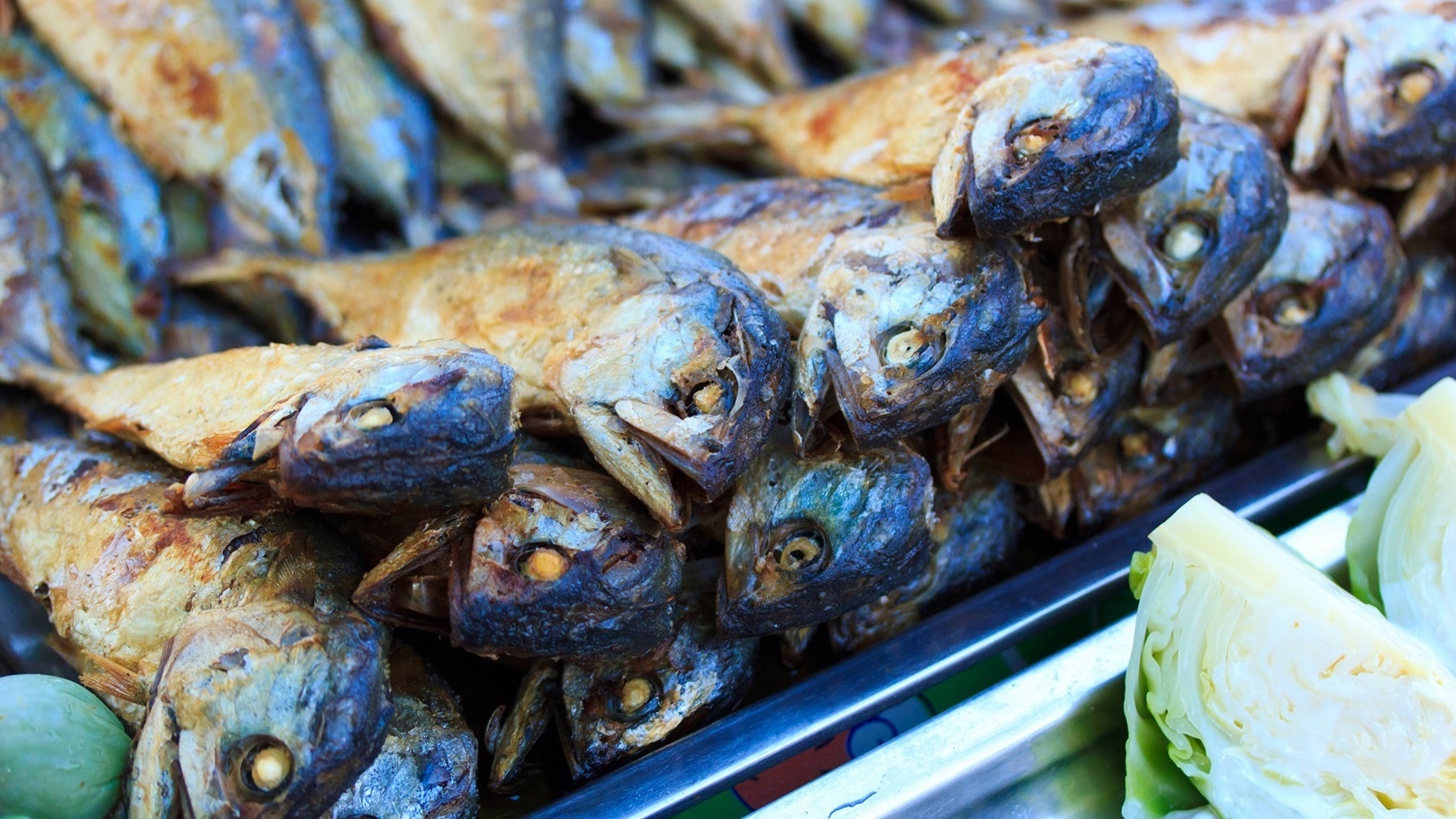 أسماك الرنجة