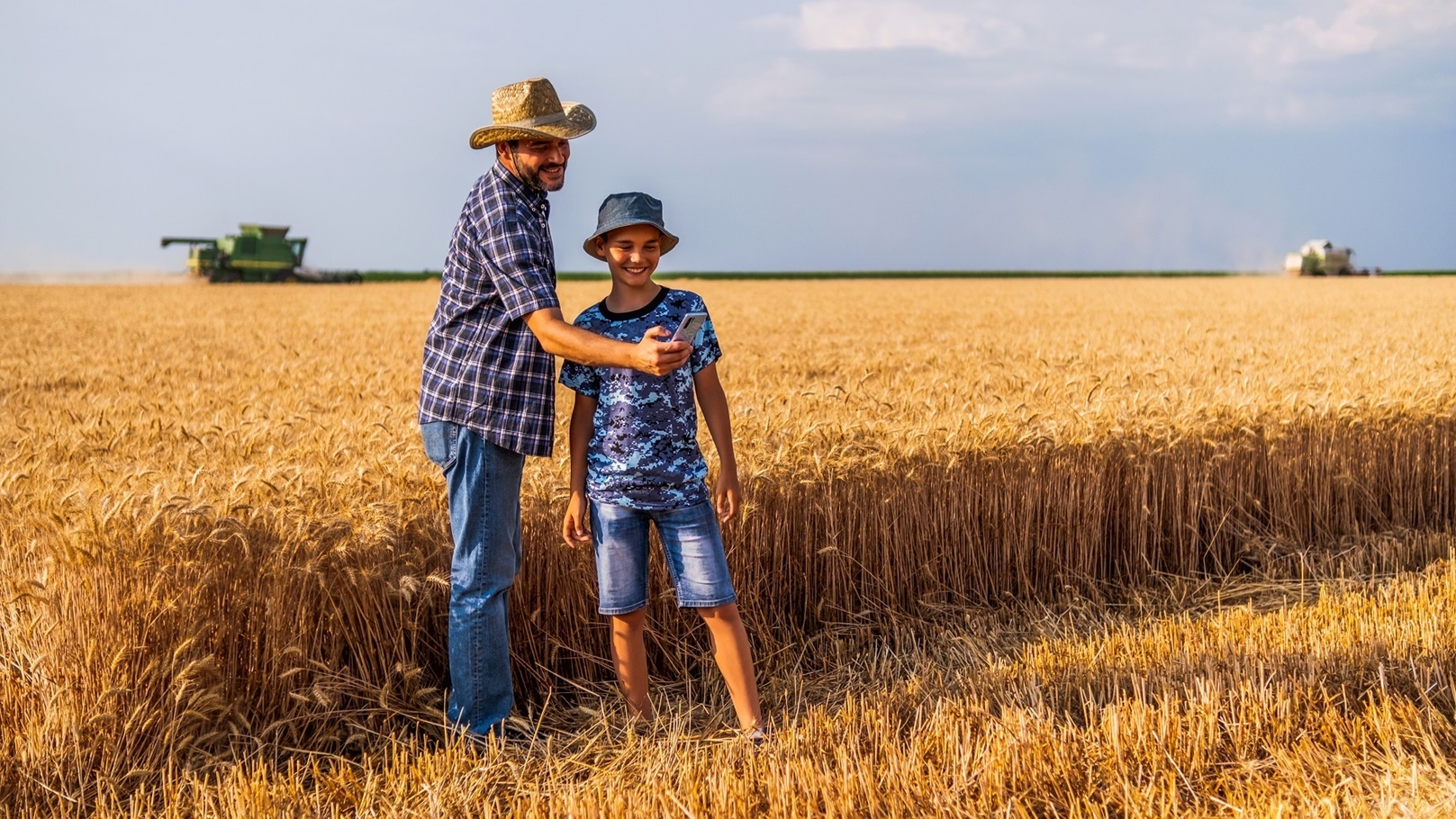 harvesting-wheat-2022-04-12-23-12-35-utc