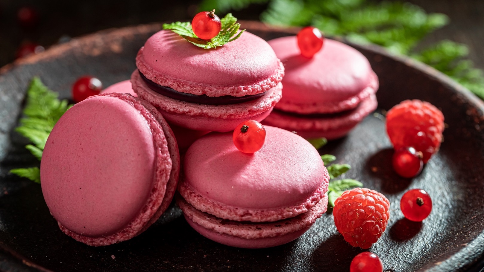 طريقة عمل الماكرون الفرنسي