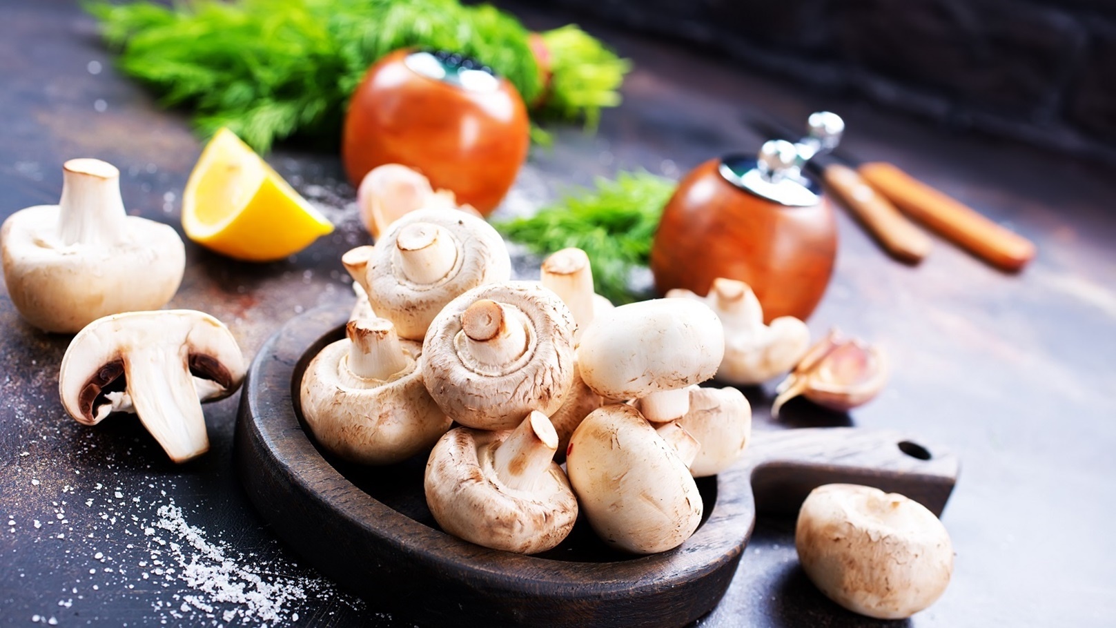 mushroom-عيش الغراب (2)