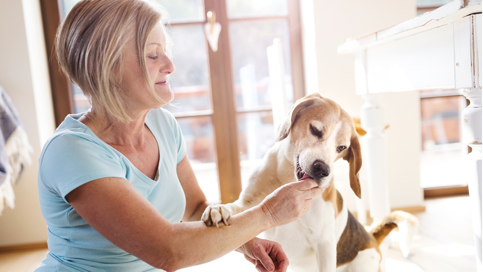 10 أطعمة ممنوعة تماما عن كلبك.. أبرزها الشكولاتة والأفوكادو