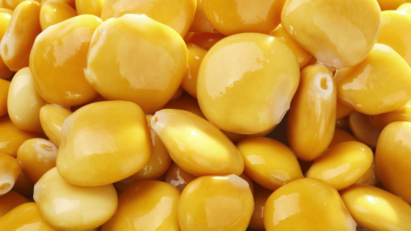 lupines-2021-08-30-02-29-45-utc