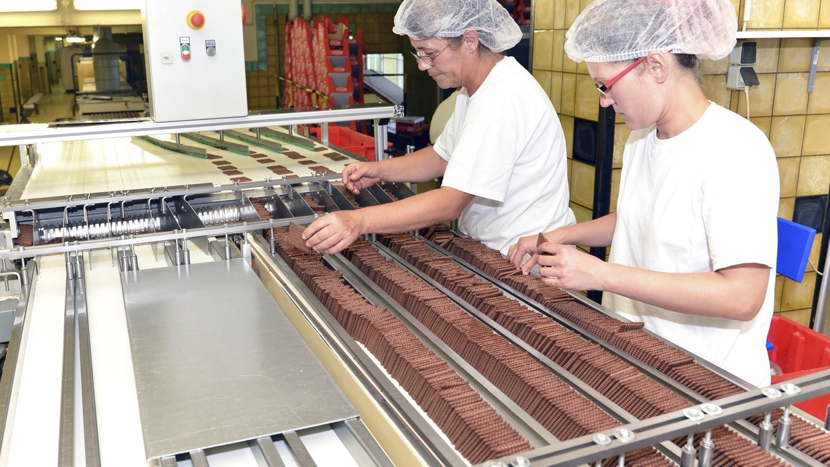 صناعة بسكويت