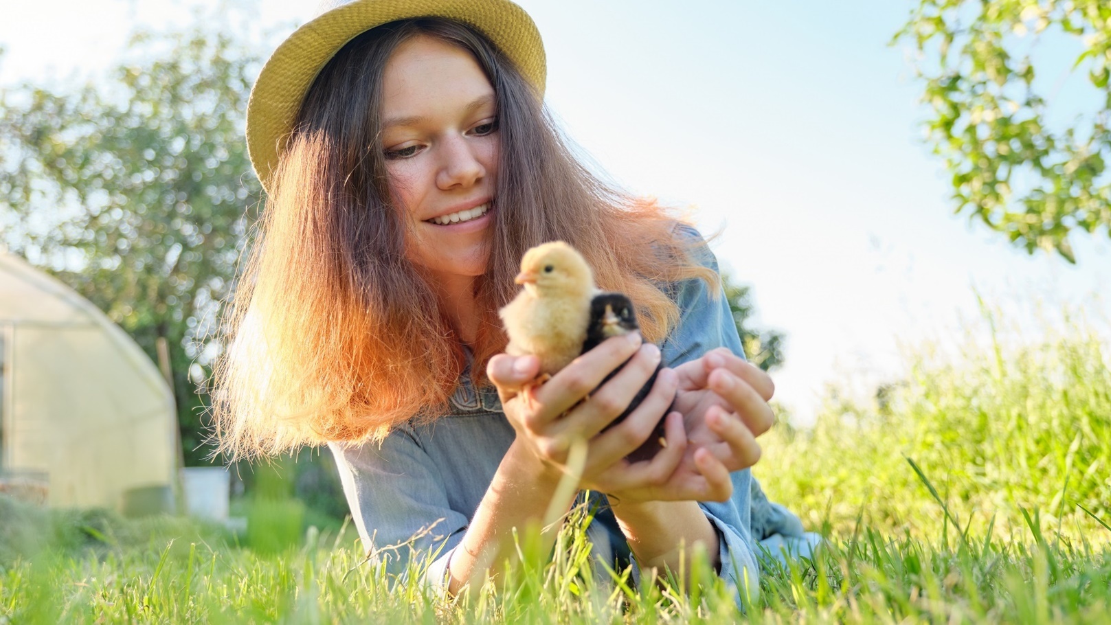 portrait-of-beautiful-girl-on-farm-with-two-newbor-2022-01-31-23-35-59-utc