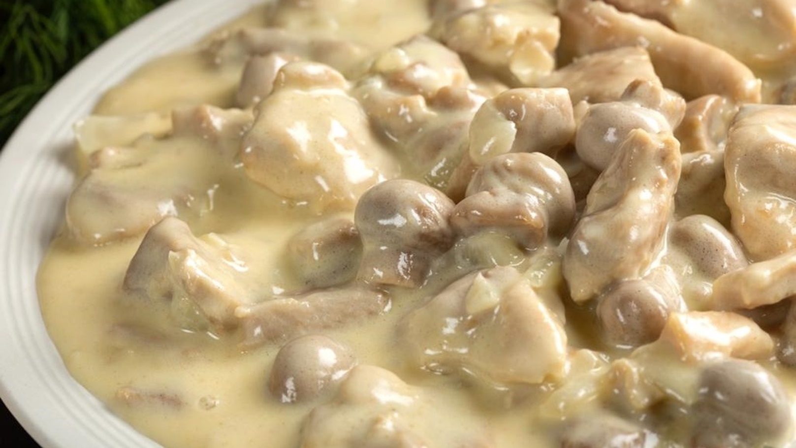 WhatsApp Image 2022-04-29 at 7.36.50 PM