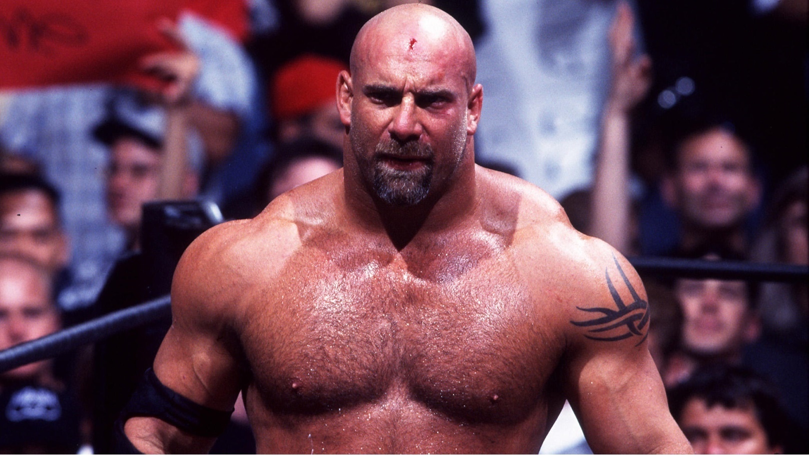 بيل جولدبيرج