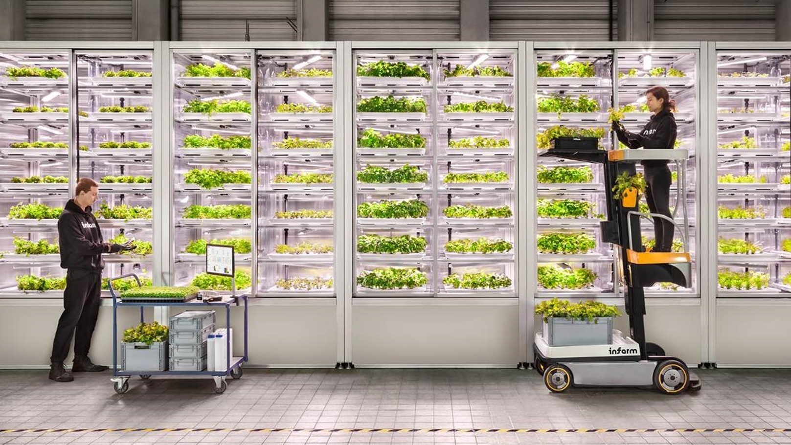 مزارع عمودية3