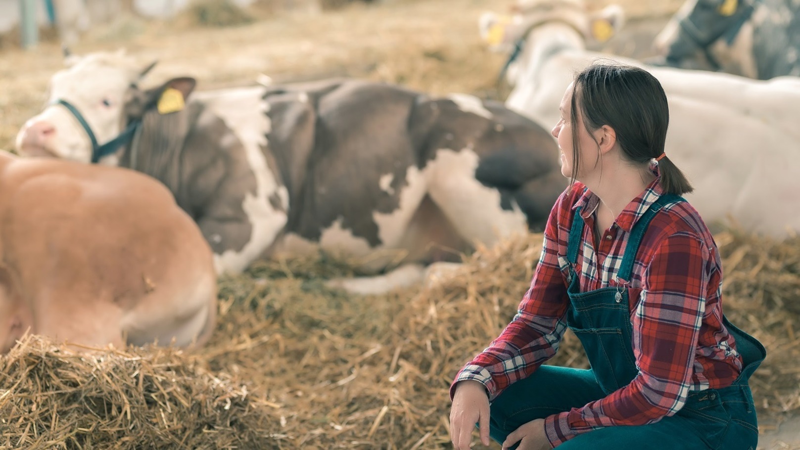female-farmer-on-cow-dairy-farm-2021-08-27-23-44-49-utc (1)