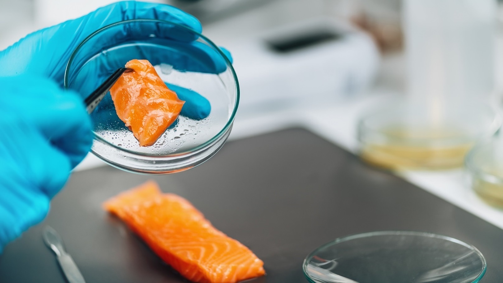 food-safety-and-quality-control-microbiological-2021-09-02-14-41-37-utc