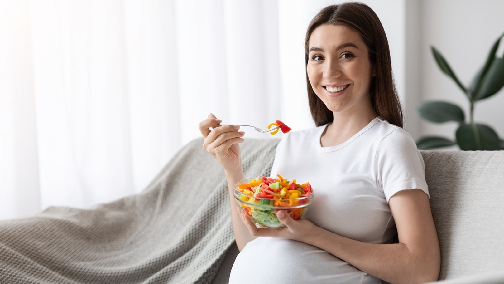 النظام الغذائي للحامل