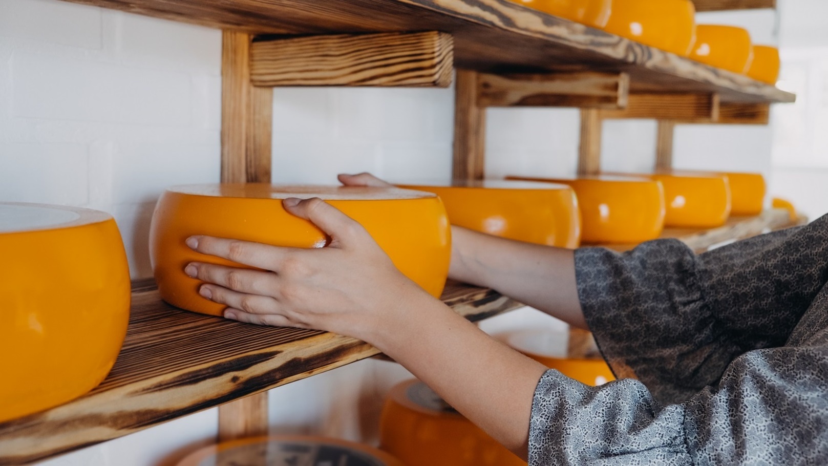 goat-cheese-wheel-in-female-hands-on-rack-in-facto-2021-08-29-23-21-59-utc (1)