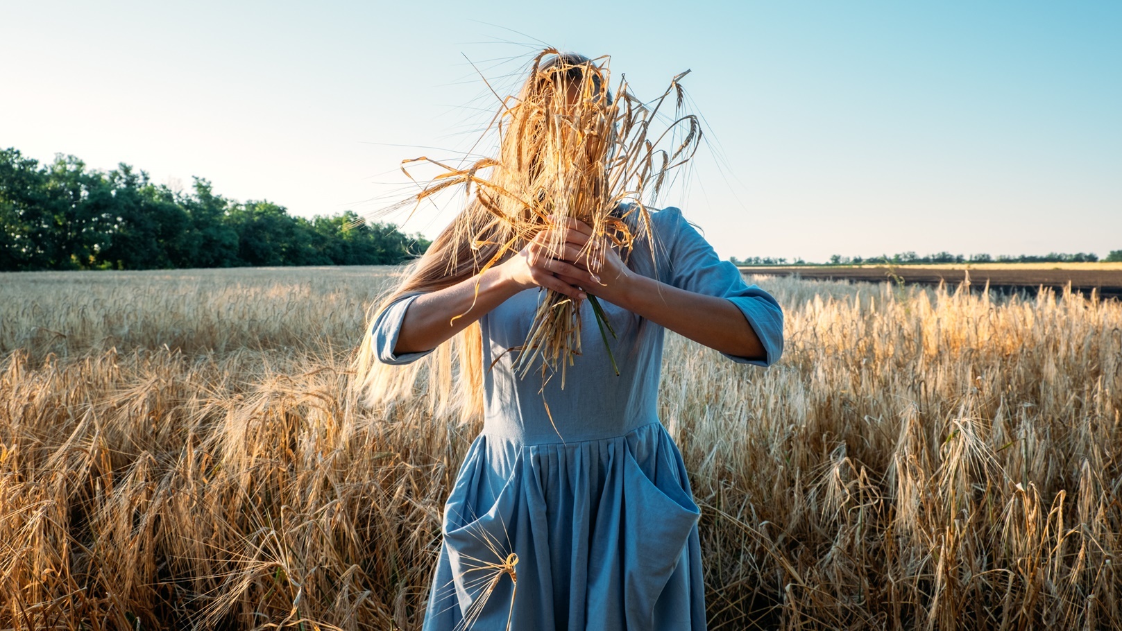 أسعار القمح الجديدة