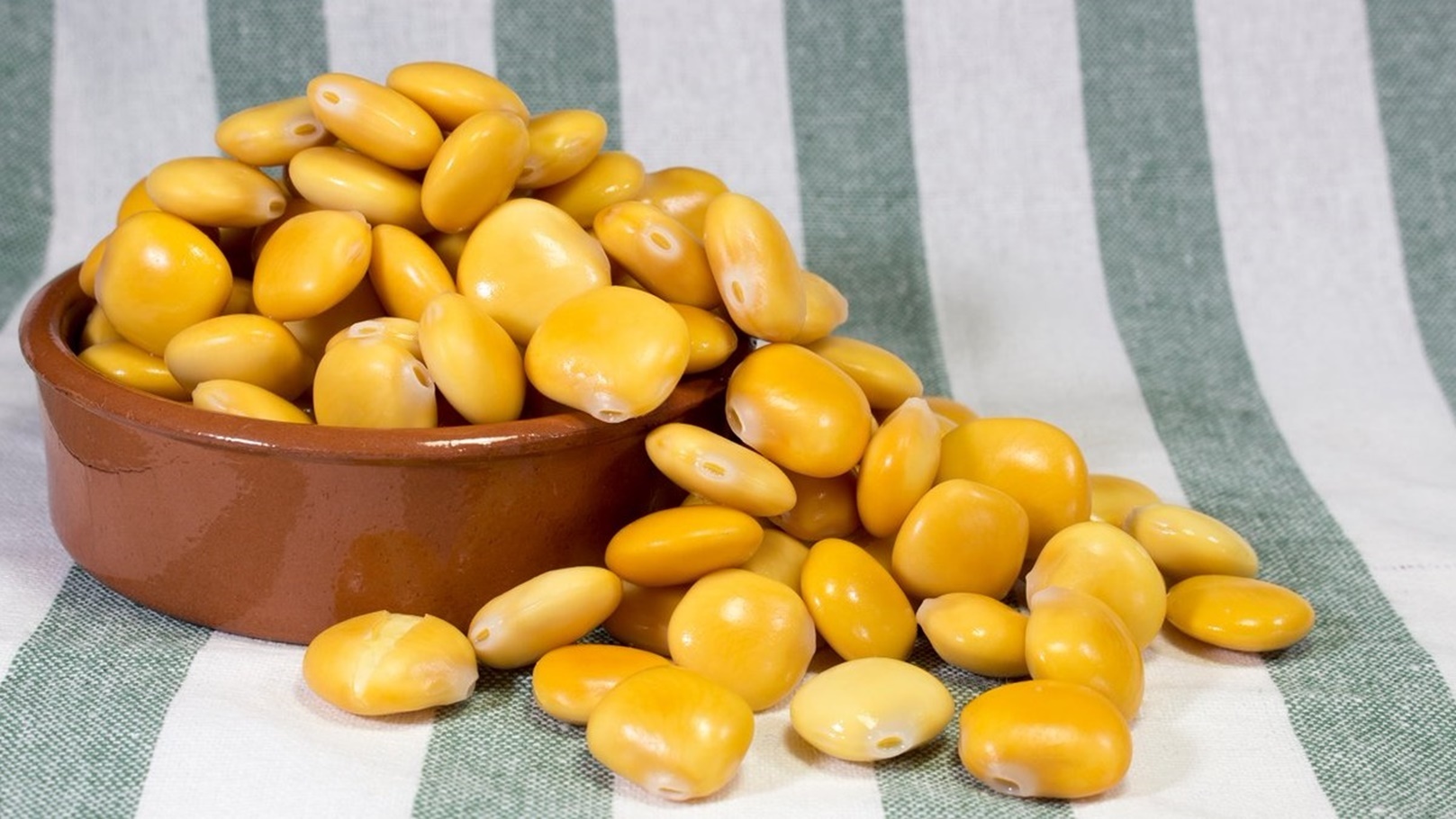 طريقة عمل الترمس