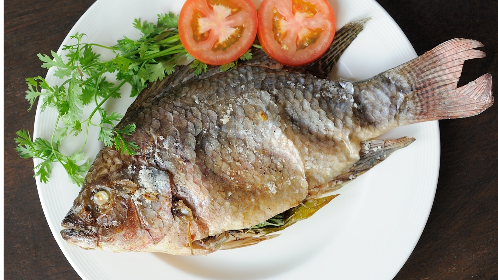 اسماك مملحة