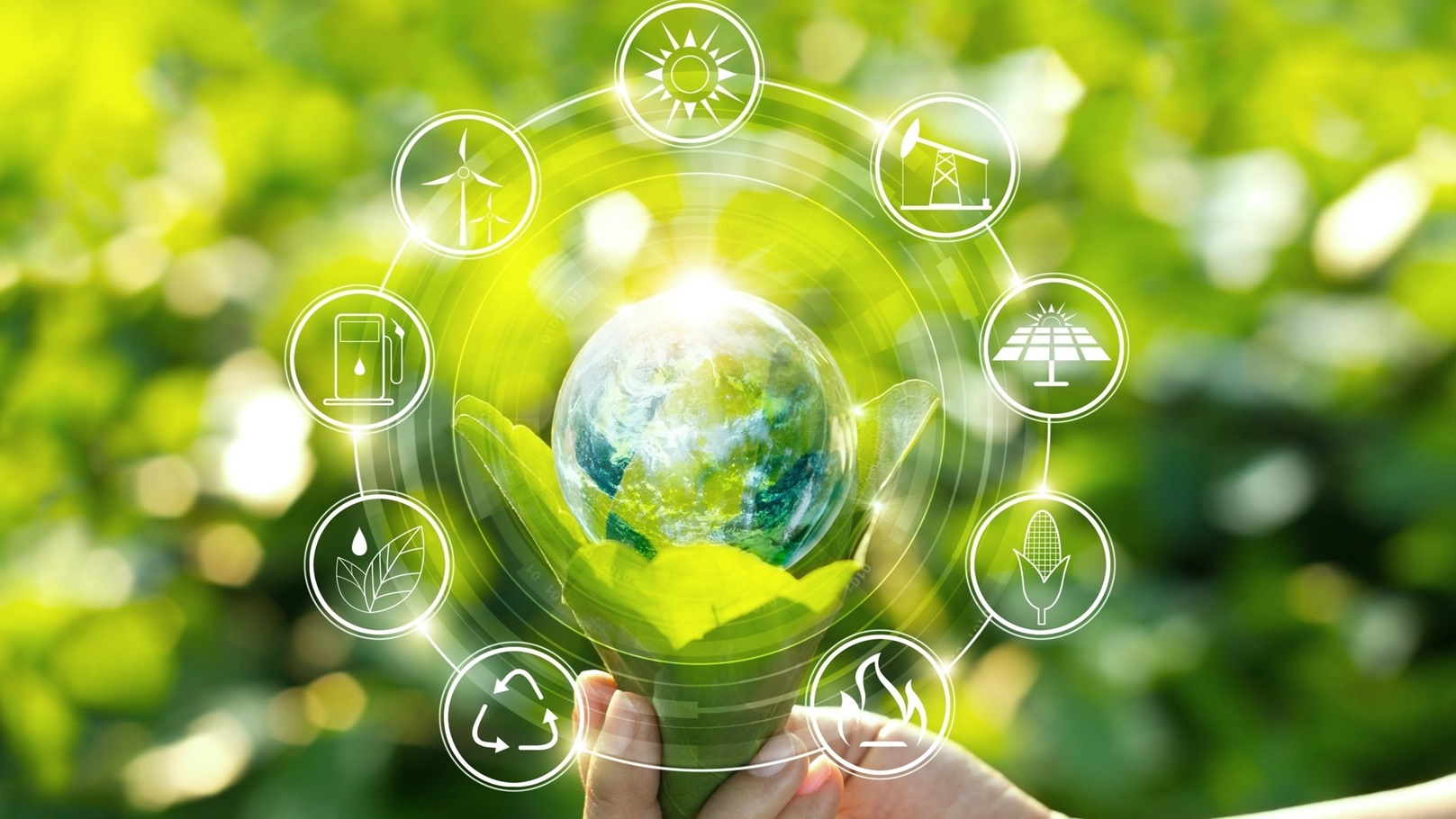 Sustainability-1-1-1