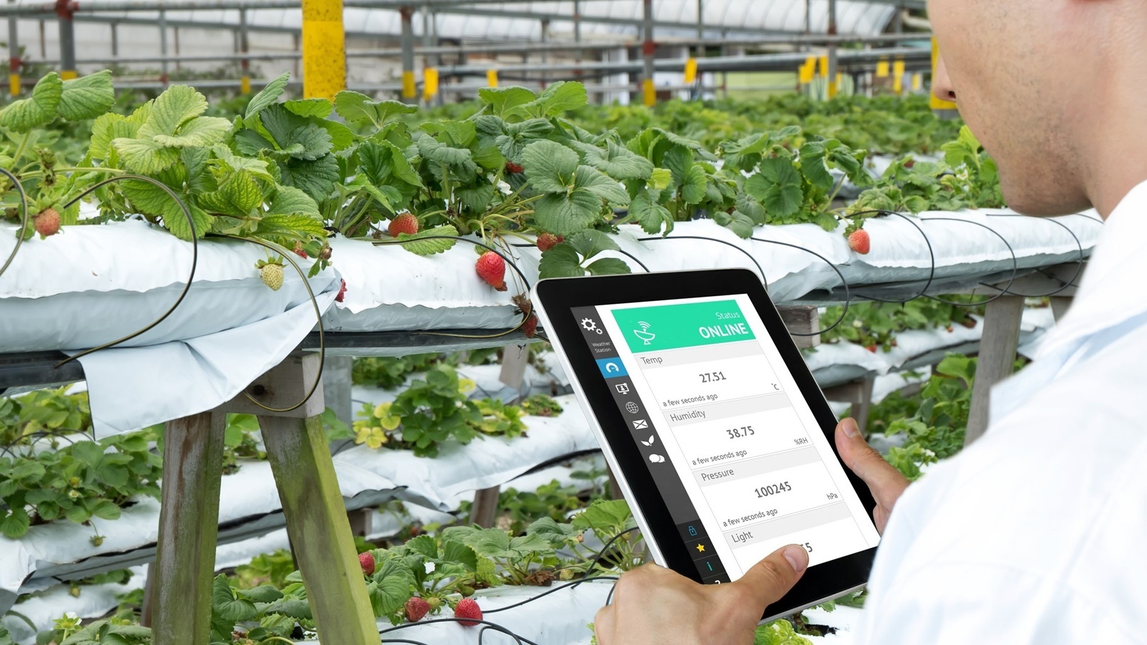 food-vegetables-technology-1-1