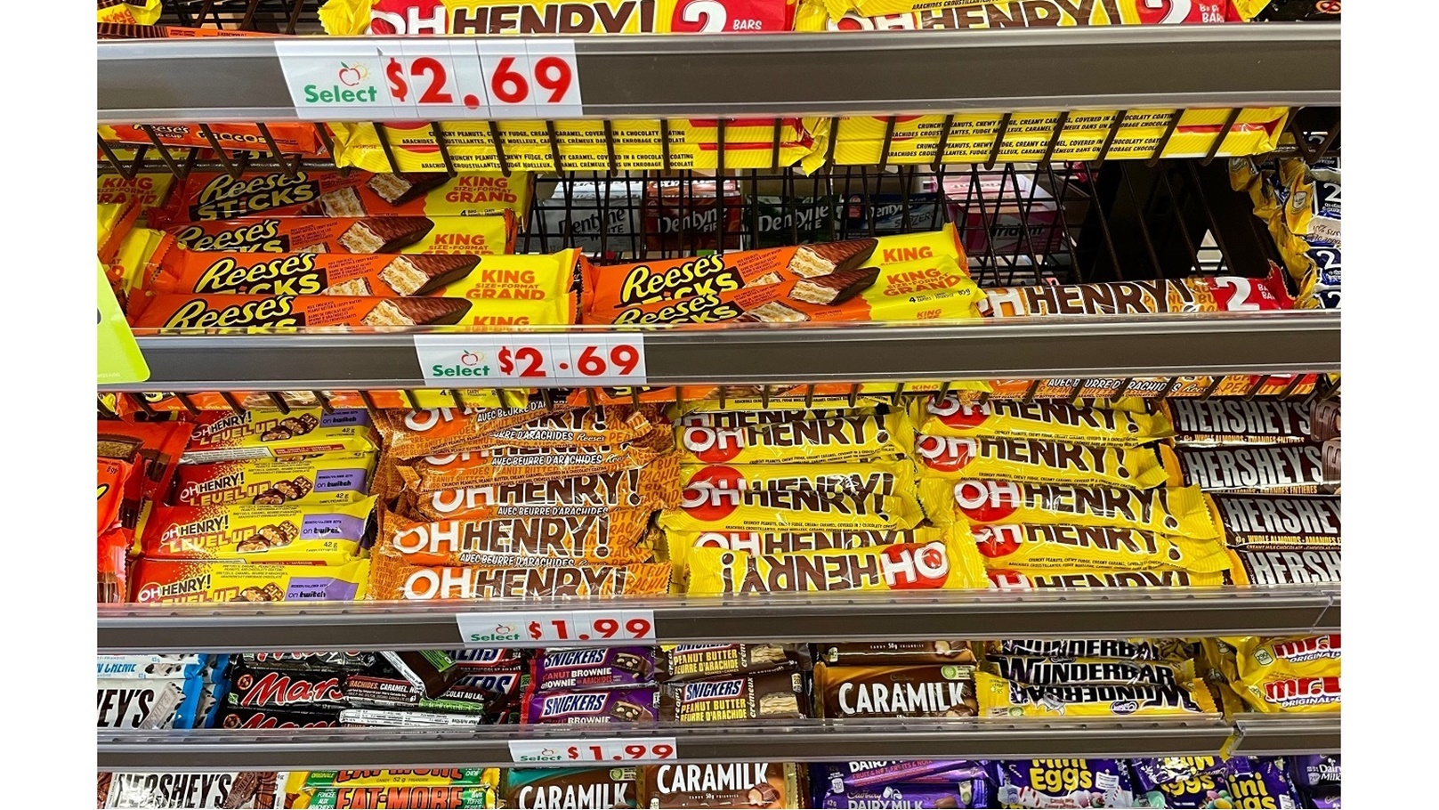 shutterstock_2188415589