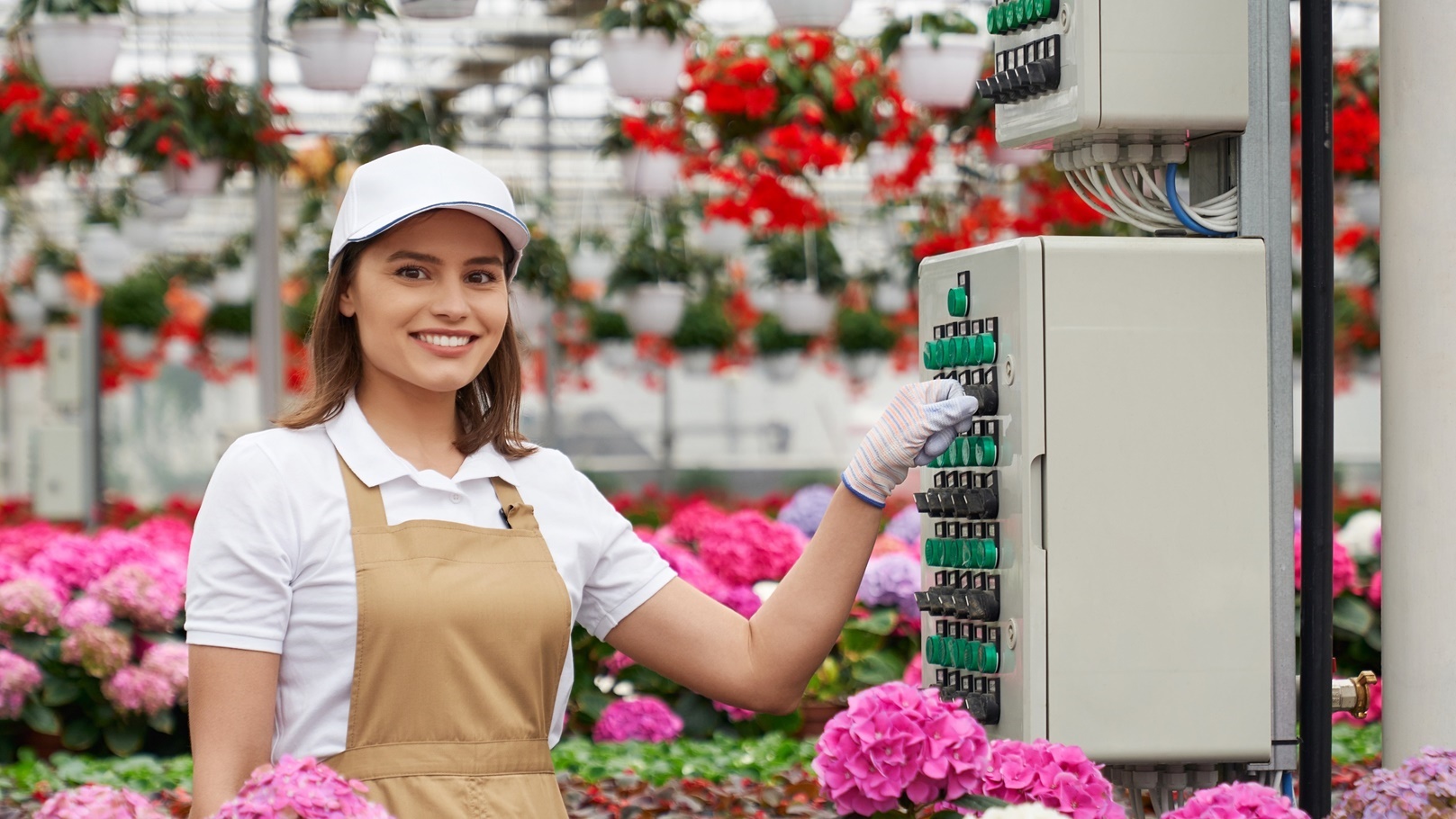 تقنيات الزراعة الحديثة