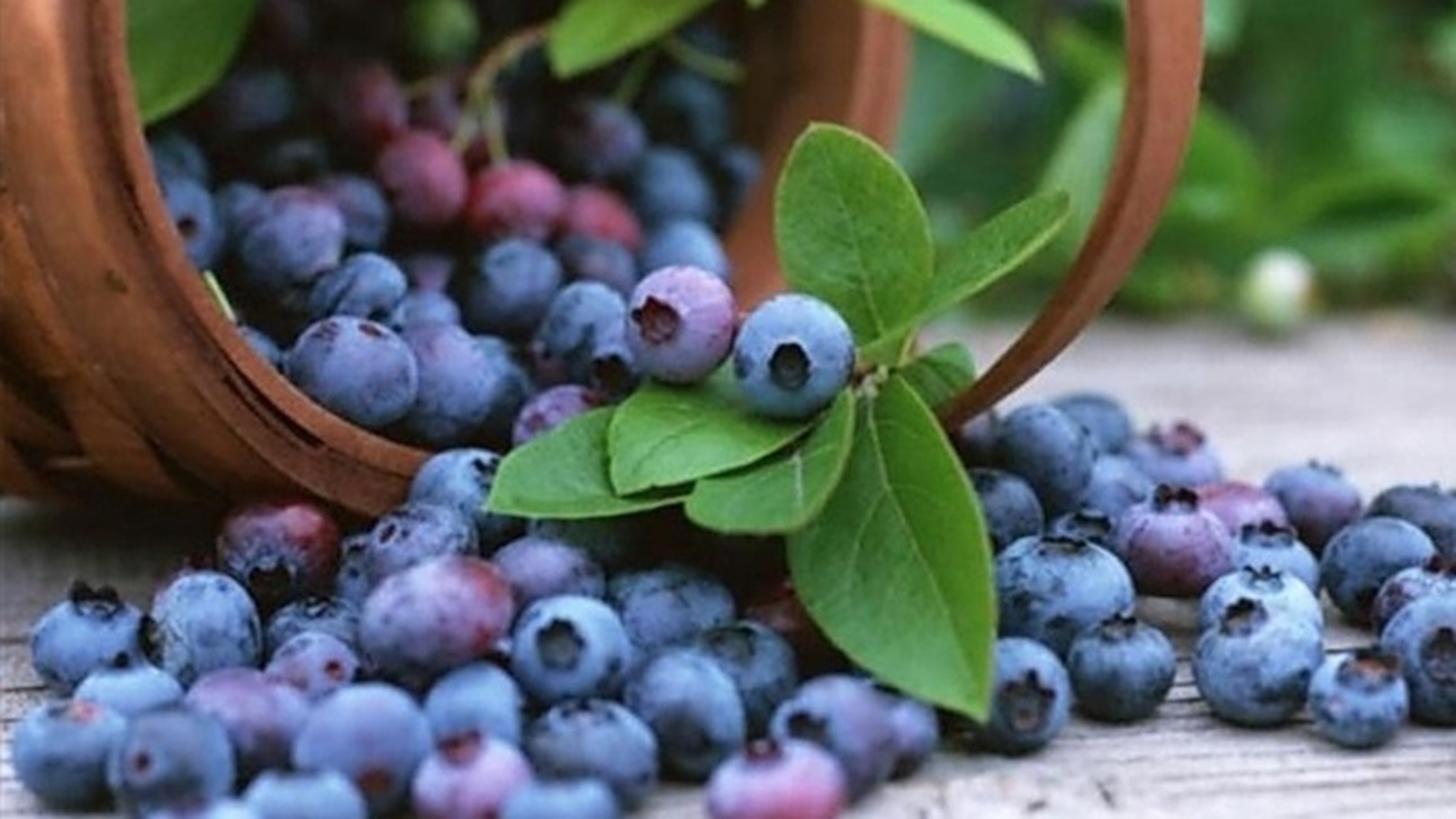 Screenshot_٢٠٢٥٠٤٠٥_١٩٢٥٣٥