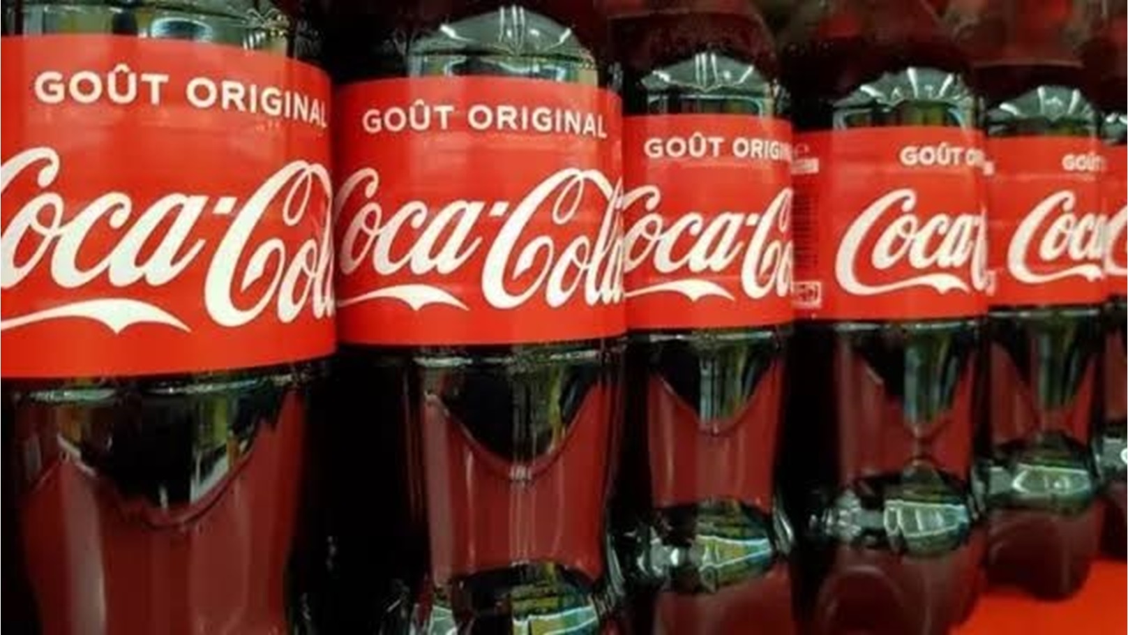 95607F27-F775-4FC8-968A-A41C8C0337E1